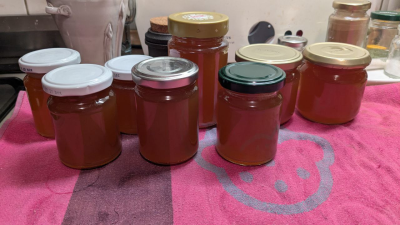 Mehrere Gläser mit frisch gekochtem Quitten-Gelee