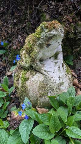 Eine Steinfigur in Froschform und davor blühen die ersten Vergissmeinnicht