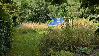 Blick in den Garten an dessen hinteren Ende ein großes Zelt steht