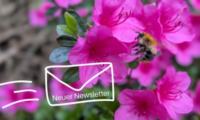Artikelbild zum Artikel Die 10 Gebote für gutes Newsletter Marketing