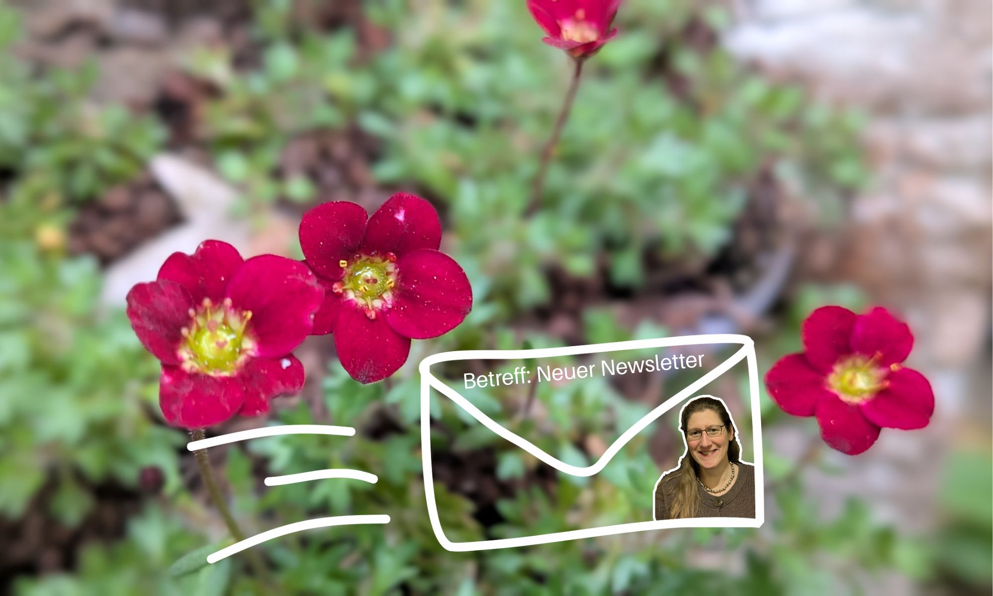 Auf einem Bild mit roten Blüten ist die Grafik eines Briefumschlags auf dem steht: Betreff - neuer Newsletter