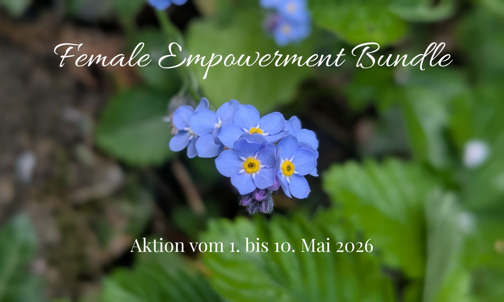 Ein Foto mit einer Vergißmeinnichtblüte und dem Schriftzug Female Empowerment Bundle, Aktion vom 1. bis 10. Mai 2026