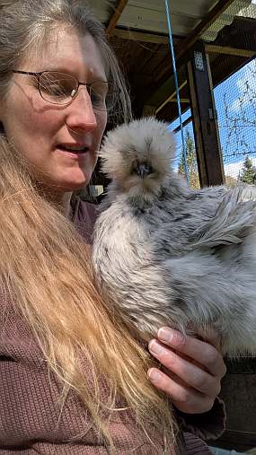 Dorothee hat ein Seidenhuhn auf der Hand
