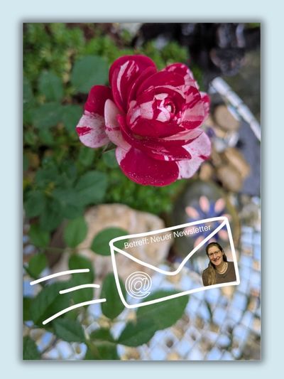E-Mail-Marketing Newsletter Startkklar Titelbild der Angebotsseite